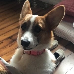 Meet your Posher, Thelma